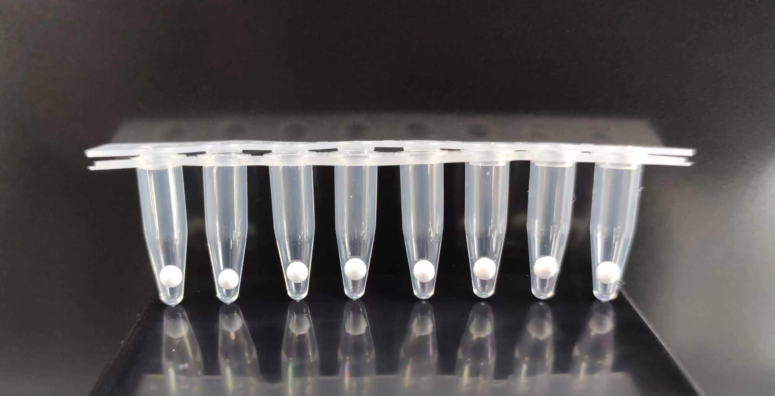 PCR Master Mix Lyophilized Beads